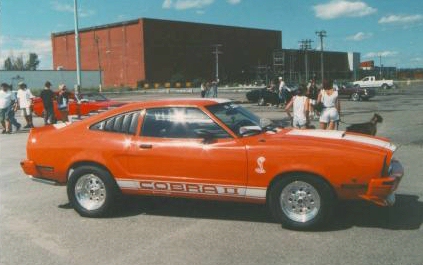 Ricky D's 74 Mustang II
