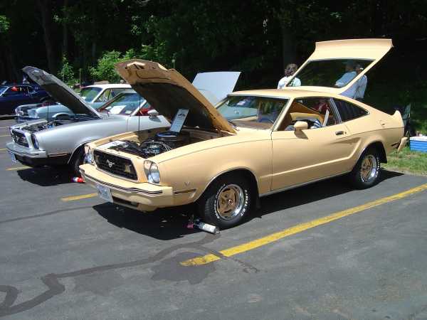 MU Spring Roundup Mustang IIs